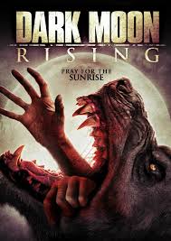 Poster of Mikki Padilla's Movie 'Dark Moon Rising'